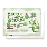 Cacti and Succulents of Texas Postcard