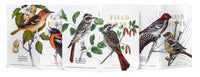 Field Notes Birds of North America Edition - Pack A