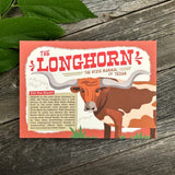 Longhorn Postcard